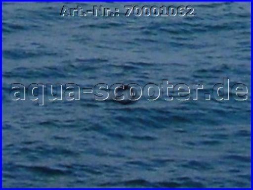 104 - O-Ring Starterwelle