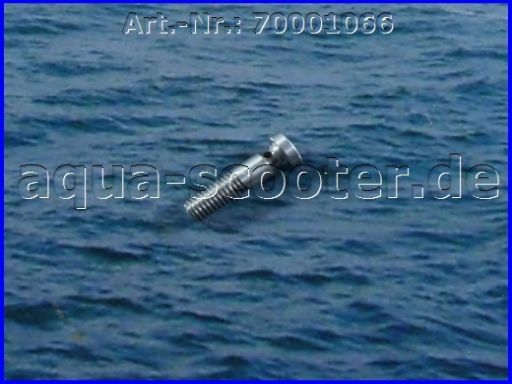 133 - Benzindurchlaßschraube