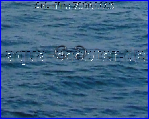 17 - Kolbenbolzensicherung 2 Stück