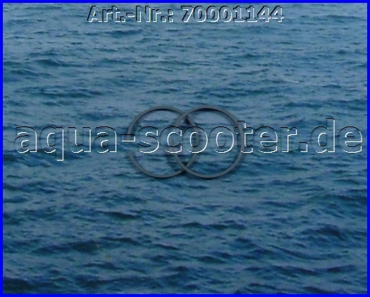 22 - Kolbenring AS650 Supermagnum