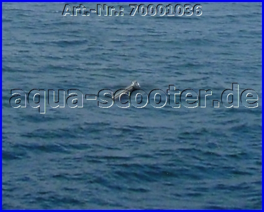 51 - Schraube M4 x 10 mm